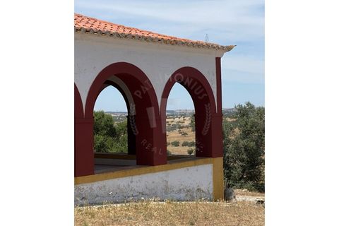 Landejendom i Ourique, Beja, Ourique - € 2.450.000 | Ref: PT03Q-0574 - foto 16