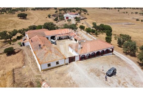 Landejendom i Ourique, Beja, Ourique - € 2.450.000 | Ref: PT03Q-0574 - foto 1