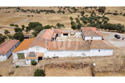 Landejendom i Ourique, Beja, Ourique - € 2.450.000 | Ref: PT03Q-0574 - foto 3