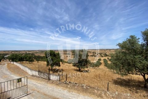 Landejendom i Ourique, Beja, Ourique - € 2.450.000 | Ref: PT03Q-0574 - foto 8