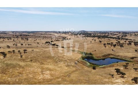 Landejendom i Ourique, Beja, Ourique - € 2.450.000 | Ref: PT03Q-0574 - foto 21