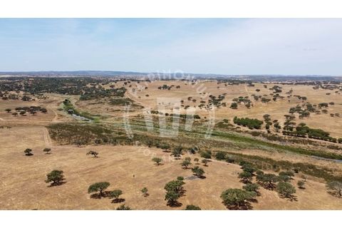Landejendom i Ourique, Beja, Ourique - € 2.450.000 | Ref: PT03Q-0574 - foto 23
