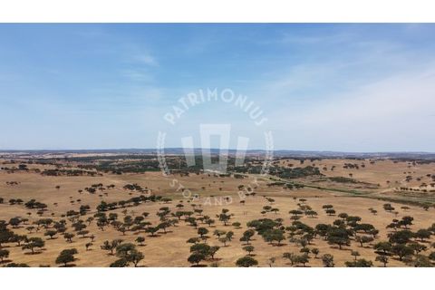 Landejendom i Ourique, Beja, Ourique - € 2.450.000 | Ref: PT03Q-0574 - foto 24