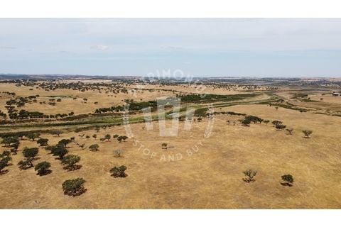 Landejendom i Ourique, Beja, Ourique - € 2.450.000 | Ref: PT03Q-0574 - foto 25