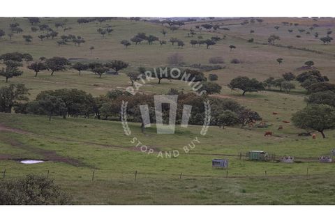 Landejendom i Ourique, Beja, Ourique - € 2.450.000 | Ref: PT03Q-0574 - foto 48