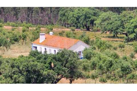 Landejendom i Sines, Setubal, Sines - € 2.000.000 | Ref: PT03Q-0591 - foto 2