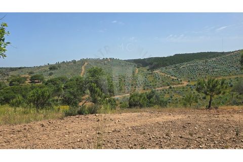 Landejendom i Sines, Setubal, Sines - € 2.000.000 | Ref: PT03Q-0591 - foto 8