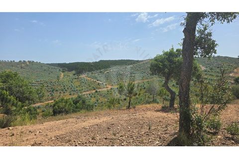 Landejendom i Sines, Setubal, Sines - € 2.000.000 | Ref: PT03Q-0591 - foto 9