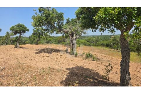 Landejendom i Sines, Setubal, Sines - € 2.000.000 | Ref: PT03Q-0591 - foto 10