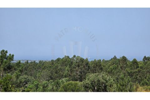 Landejendom i Sines, Setubal, Sines - € 2.000.000 | Ref: PT03Q-0591 - foto 11