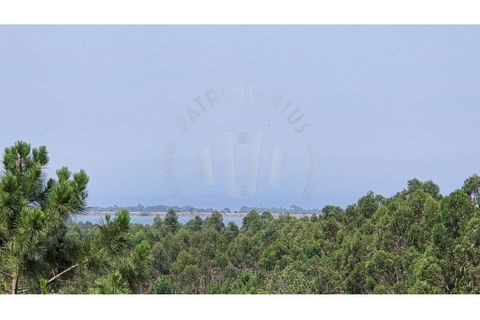 Landejendom i Sines, Setubal, Sines - € 2.000.000 | Ref: PT03Q-0591 - foto 12