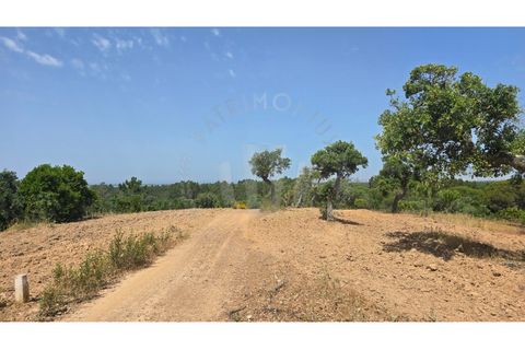 Landejendom i Sines, Setubal, Sines - € 2.000.000 | Ref: PT03Q-0591 - foto 13