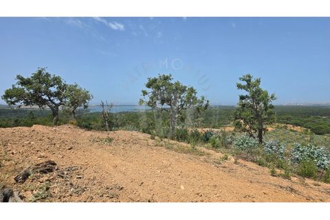 Landejendom i Sines, Setubal, Sines - € 2.000.000 | Ref: PT03Q-0591 - foto 14