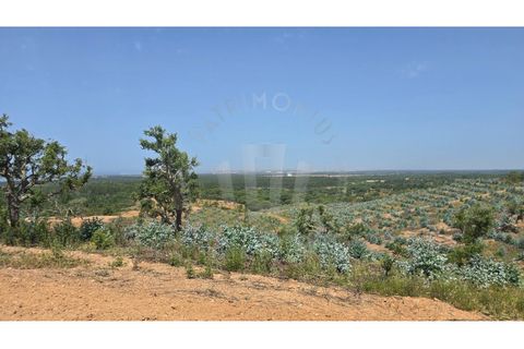 Landejendom i Sines, Setubal, Sines - € 2.000.000 | Ref: PT03Q-0591 - foto 15