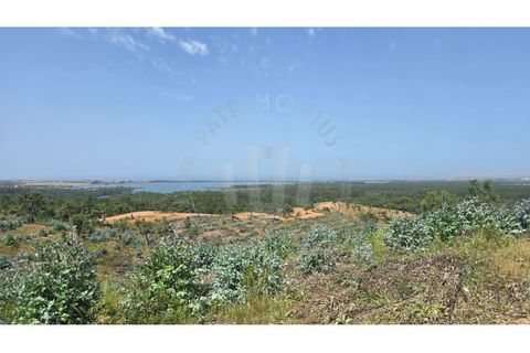 Landejendom i Sines, Setubal, Sines - € 2.000.000 | Ref: PT03Q-0591 - foto 18