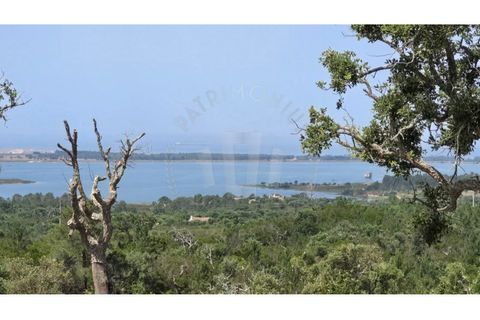 Landejendom i Sines, Setubal, Sines - € 2.000.000 | Ref: PT03Q-0591 - foto 19