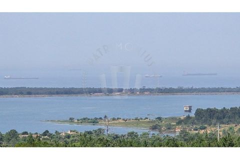 Landejendom i Sines, Setubal, Sines - € 2.000.000 | Ref: PT03Q-0591 - foto 20
