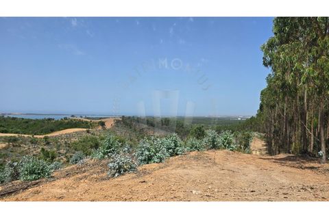 Landejendom i Sines, Setubal, Sines - € 2.000.000 | Ref: PT03Q-0591 - foto 24