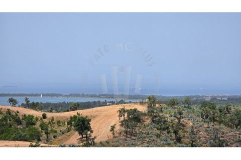 Landejendom i Sines, Setubal, Sines - € 2.000.000 | Ref: PT03Q-0591 - foto 26