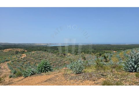 Landejendom i Sines, Setubal, Sines - € 2.000.000 | Ref: PT03Q-0591 - foto 29