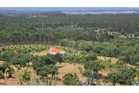Landejendom i Sines, Setubal, Sines - € 2.000.000 | Ref: PT03Q-0591 - foto 32