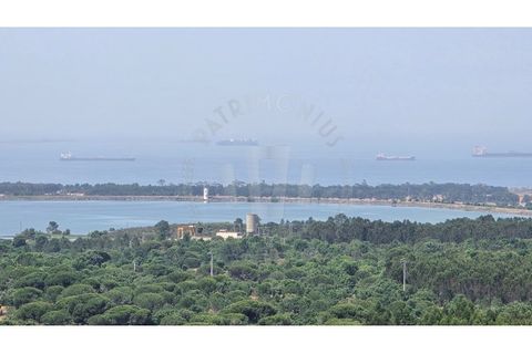Landejendom i Sines, Setubal, Sines - € 2.000.000 | Ref: PT03Q-0591 - foto 34