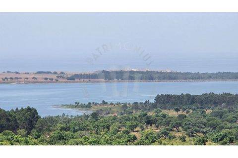 Landejendom i Sines, Setubal, Sines - € 2.000.000 | Ref: PT03Q-0591 - foto 36