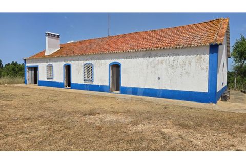 Landejendom i Sines, Setubal, Sines - € 2.000.000 | Ref: PT03Q-0591 - foto 37