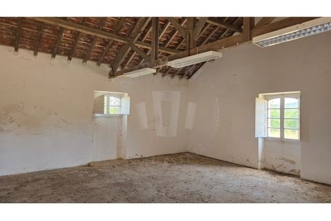 Landejendom i Sines, Setubal, Sines - € 2.000.000 | Ref: PT03Q-0591 - foto 38