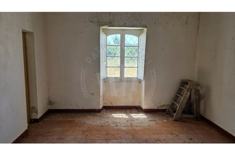 Landejendom i Sines, Setubal, Sines - € 2.000.000 | Ref: PT03Q-0591 - foto 41