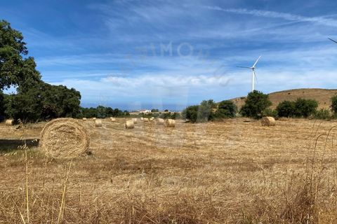 Farm i Sines, Setubal, Sines - € 820.000 | Ref: PT03Q-0631 - foto 1