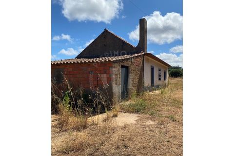 Farm i Sines, Setubal, Sines - € 820.000 | Ref: PT03Q-0631 - foto 3