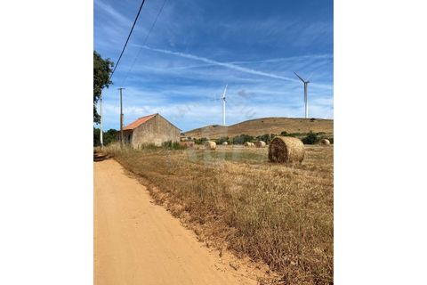 Farm i Sines, Setubal, Sines - € 820.000 | Ref: PT03Q-0631 - foto 4
