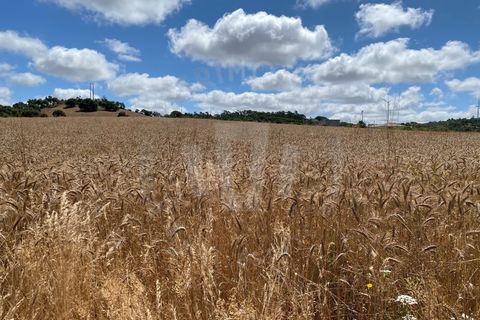 Farm i Sines, Setubal, Sines - € 820.000 | Ref: PT03Q-0631 - foto 7