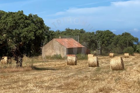 Farm i Sines, Setubal, Sines - € 820.000 | Ref: PT03Q-0631 - foto 9