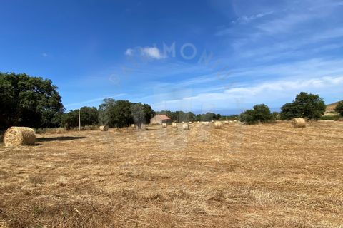 Farm i Sines, Setubal, Sines - € 820.000 | Ref: PT03Q-0631 - foto 10