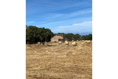 Farm i Sines, Setubal, Sines - € 820.000 | Ref: PT03Q-0631 - foto 11