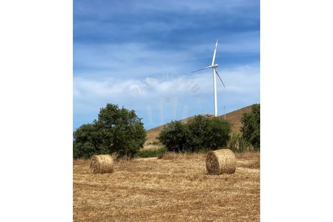 Farm i Sines, Setubal, Sines - € 820.000 | Ref: PT03Q-0631 - foto 14