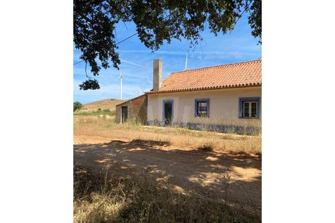Farm i Sines, Setubal, Sines - € 820.000 | Ref: PT03Q-0631 - foto 15