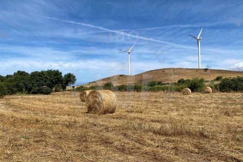Farm i Sines, Setubal, Sines - € 820.000 | Ref: PT03Q-0631 - foto 19