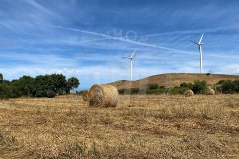 Farm i Sines, Setubal, Sines - € 820.000 | Ref: PT03Q-0631 - foto 20
