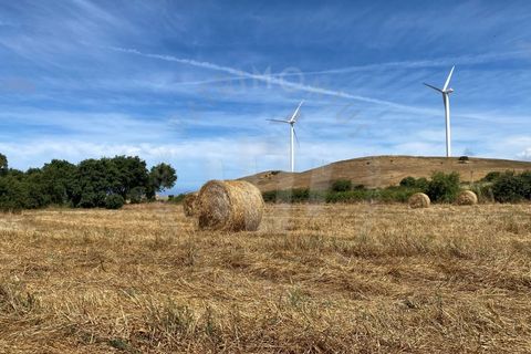 Farm i Sines, Setubal, Sines - € 820.000 | Ref: PT03Q-0631 - foto 21