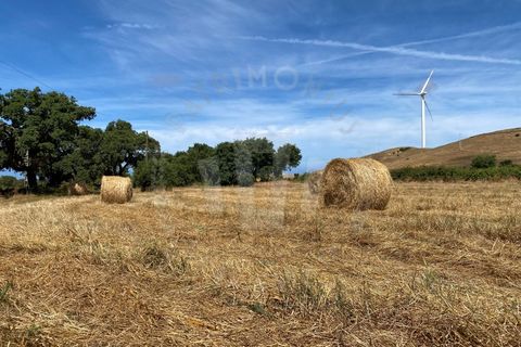 Farm i Sines, Setubal, Sines - € 820.000 | Ref: PT03Q-0631 - foto 22