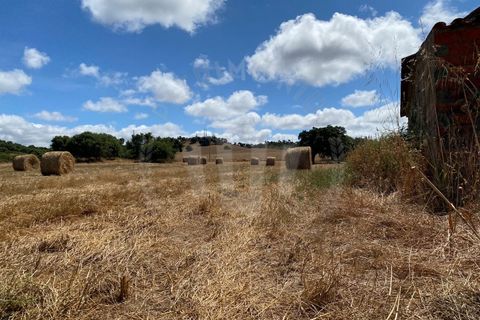 Farm i Sines, Setubal, Sines - € 820.000 | Ref: PT03Q-0631 - foto 23