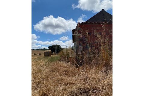 Farm i Sines, Setubal, Sines - € 820.000 | Ref: PT03Q-0631 - foto 24