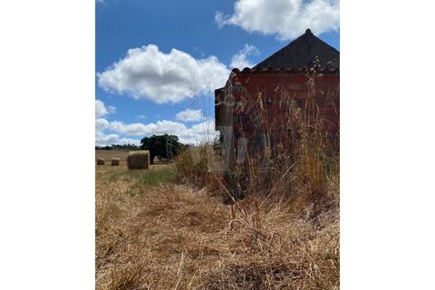 Farm i Sines, Setubal, Sines - € 820.000 | Ref: PT03Q-0631 - foto 26