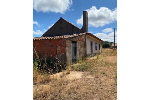 Farm i Sines, Setubal, Sines - € 820.000 | Ref: PT03Q-0631 - foto 27