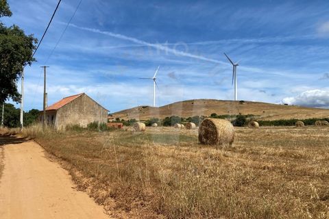 Farm i Sines, Setubal, Sines - € 820.000 | Ref: PT03Q-0631 - foto 28