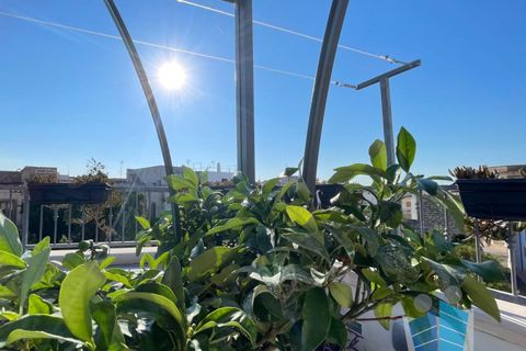 Villa a Poggiardo, Lecce, Poggiardo - € 110.000 | Ref: 354 - foto 31