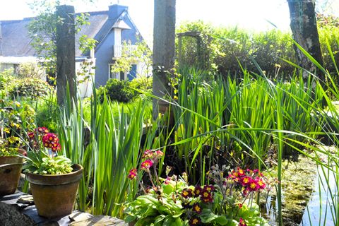 Villa a Merdrignac, Cotes-d'Armor, Merdrignac - € 79.500 | Ref: KM-4605 - foto 5